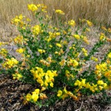 2208F 097 Werre-Braunschweig